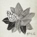 Wild Flower [Park Hyo Shin] - Momo Musik Free