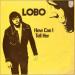 Download mp3 Lobo - How Can I Tell Her About You (smule) Music Terbaik - zLagu.Net