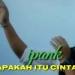 Free Download lagu IPANK - APAKAH ITU CINTA [ Dimas Prabowo ] BREAKBEAT di zLagu.Net