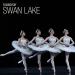Download mp3 lagu Tchaikovsky - The Swan Lake, Op.20 - Act II, No.13 Dances of the Little Swans: 4. Allegro moderato terbaik di zLagu.Net