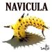 Download mp3 Navicula – Over Konsumsi music gratis