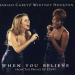 Download lagu mp3 Terbaru When You Believe - Mariah Carey feat Whitney Hton ( Covered by Nickolas G P ) gratis