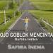 Lagu mp3 Safira Inema - Ojo Goblok Mencinta gratis