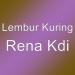 Download lagu gratis Rena Kdi terbaik