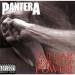 Download lagu Pantera MOUTH FOR WAR / A NEW LEVEL / FH guitar cover (Guitars) mp3 Gratis
