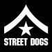 Download mp3 lagu Street Dogs - Punk Rock And Roll Playover baru