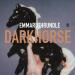 Download mp3 Terbaru Darkhorse gratis