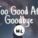 Download lagu Sam Smith - Too Good At Goodbyes (Lyrics) mp3 Terbaru
