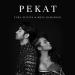 Download musik Pekat - Yura Yunita ft. Reza Rahadian (Cover by Aryadika ft. dr.ames) terbaik