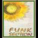 Download mp3 lagu Funk Section - Terpesona gratis