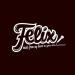 Download lagu mp3 Fiersa Besari - Waktu Yang Salah Felix Cover.mp3 gratis di zLagu.Net