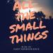 Free Download lagu All The Small Thing terbaru