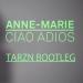 Download mp3 lagu Anne-Marie - Ciao Adios (TARZN Bootleg) Radio Edit ***FREE DL*** 4 share