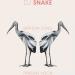 Musik Dj Snake - Birthday Song (Parisian Vision) baru