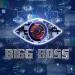 Download lagu terbaru IA - Big Boss 2018 [Indra Aditya] Tari Ular mp3