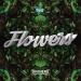 Download music Diviners ft. Dom Robinson - Flowers terbaru