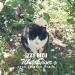 Download music Izzy Bizu - White Tiger (Star Slinger Remix) mp3 gratis