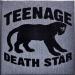 Download mp3 lagu Teenage Death Star - Absolute Beginner Terrror di zLagu.Net