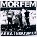 MORFEM - Ve In Furs (The Velvet Underground Cover) Music Terbaru