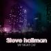 Free Download lagu terbaru Steve Hallman - My Night Out (Original MIx)
