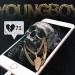 Musik NBA Youngboy - Cant Be Saved (WSHH Excive - Official Audio) mp3