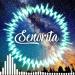 Download mp3 lagu SENORITA~SKA version_Reggae Cover - Masterkiu