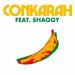 Lagu terbaru Mix Banana - Conkarah Ft. Shaggy Tiktok ¡ DJ Paxder ! 2020 mp3 Gratis