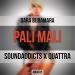 Download lagu gratis Dara Bubamara - Pali mali (SoundAddicts x Quattra Mash Up) terbaik di zLagu.Net
