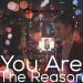 Download lagu mp3 Terbaru Calum Scott ft. Leona Lewis - You Are The Reason | Bethany and Mozart Cover di zLagu.Net
