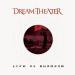 Download lagu Dream Theater- Chosen Covered by Willber Gomes mp3 di zLagu.Net
