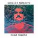 Download mp3 Rodrigo Amarante - Tuyo (Karlk Rework) music gratis