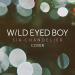 Download music Sia - Chandelier (Wild Eyed Boy Cover) mp3