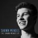 Download mp3 The Weight ~ Shawn Mendes music gratis