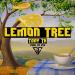 Download mp3 lagu Lemon Tree (Weedmix) - Tony TK online - zLagu.Net