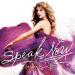 Lagu Taylor Swift - Speak Now (Full Album) mp3