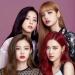 Download mp3 Black Pink - How You Like That Cover gratis - zLagu.Net