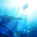 Gudang lagu Naruto Shippuden Opening 8 - Diver Piano mp3 gratis