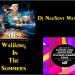 Download mp3 lagu Dj NauSent - Walking in the Summers (Empire Of The Sun ,Tiesto vs R3hab & Quintino) baru