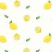 Download lagu Lemon Tree - I wonder how i wonder why? ❤️ mp3 baik