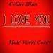 Download mp3 lagu Celine Dion - I Love You - Male Vocal Cover online