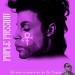 Download lagu mp3 Dj Ty Sko presents Purple Passion ..a 20 min tribute to Prince terbaru