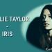 Download mp3 Natalie Taylor - Iris (Goo Goo Dolls cover)