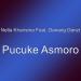 Download mp3 Pucuke Asmoro (feat. Danang Danzt) gratis