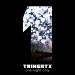 TrineATX - One Night Only Music Mp3