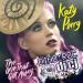 Kety Perry - The One That Got Away (Remix) Musik Terbaik