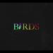 Download mp3 lagu Birds (Live Version) - Coldplay Terbaik