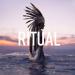 Download lagu terbaru Tiësto, Jonas Blue & Rita Ora - Ritual (Djs From Mars x Rudeejay x Da Brozz x SHJK Bootleg) mp3 gratis