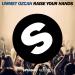 Free Download lagu terbaru Ummet Ozcan - Raise Your Hands (Original Mix) di zLagu.Net