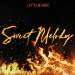Download lagu mp3 Terbaru Little Mix Sweet Melody (Kevin Psykes Dance Mix) gratis