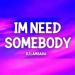 Lagu DJ LAMBADA - IM NEED SOMEBODY (VIRAL TIKTOK Song)  mp3 Terbaik